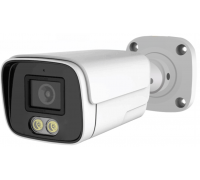 IP видеокамера Longse LS-IP204/60L-28