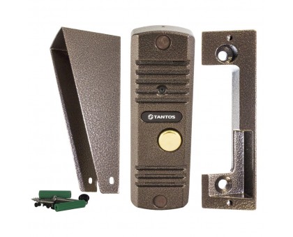 Вызывная панель Tantos Walle+ (медь)