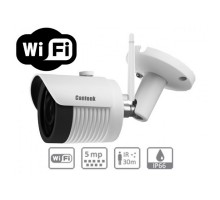 IP видеокамера ITP-020DRS500(W)