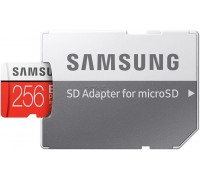 Карта памяти Samsung EVO Plus 2020 microSDXC 256GB (с адаптером)