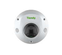 IP видеокамера Tiandy TC-C32PS